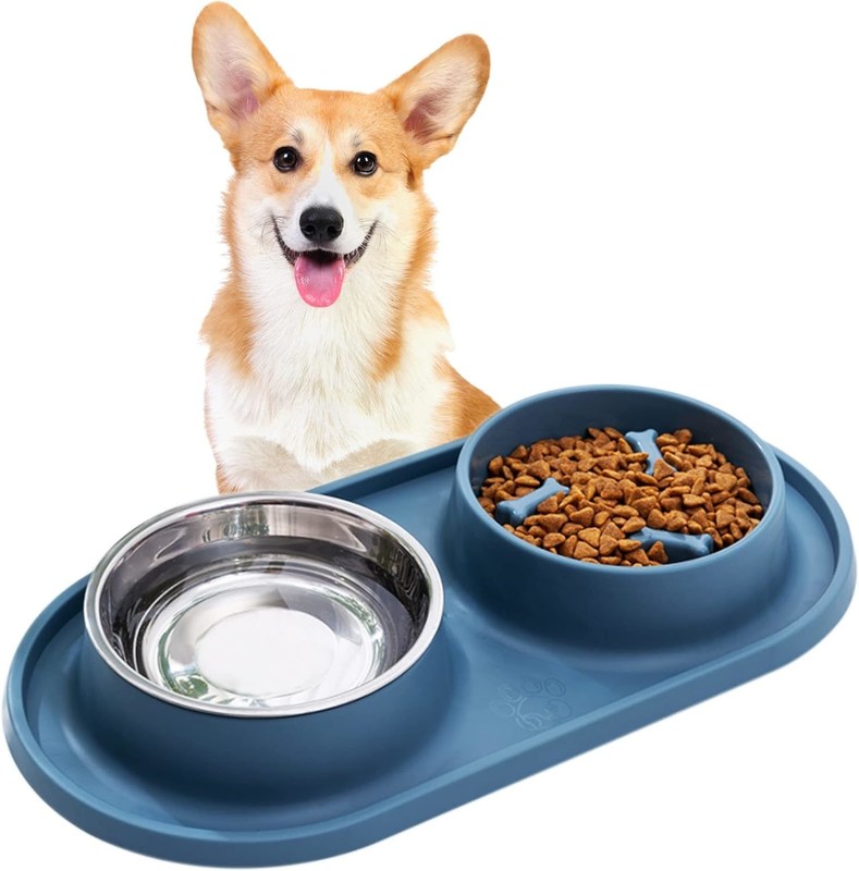 Bouteilles bleues pour chiens à alimentation lente Bouteille pour animaux avec tapis en silicone sans choc Bouteille de conception saine