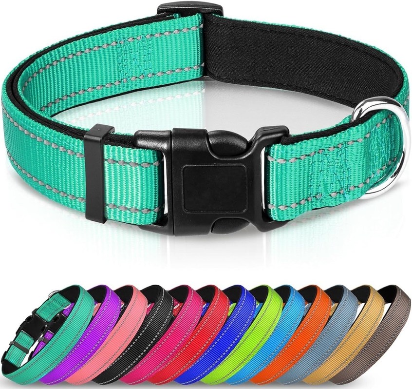 Collier de chien réfléchissant avec rembourrage en néoprène doux