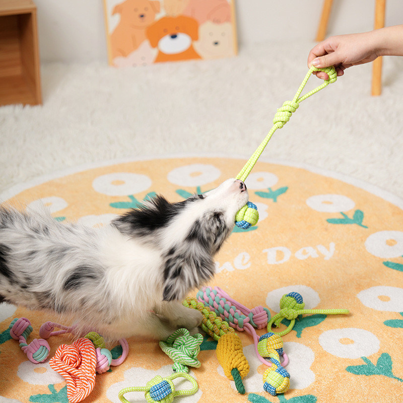 Jouer à des jouets pour chiens 7PC Ensemble de jouets à corde tressée pour le nettoyage des dents des animaux de compagnie et le plaisir interactif