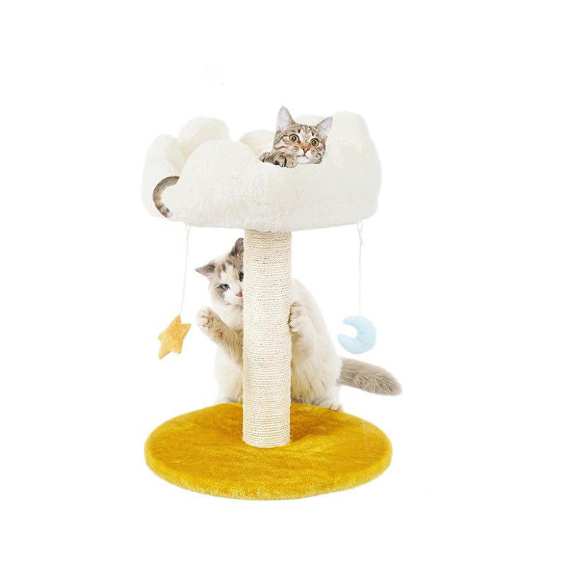 La tour de chat pour petits chats et animaux