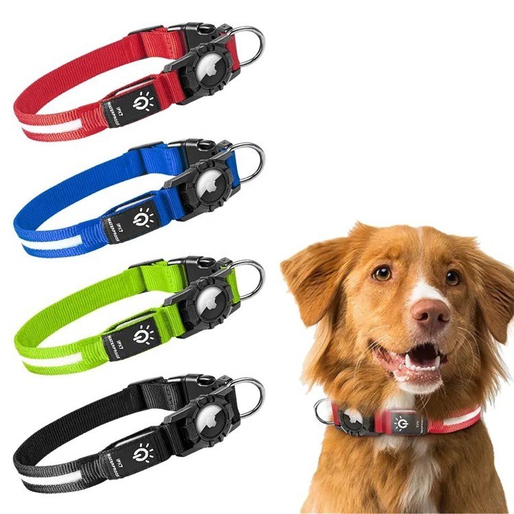 Collier de chien LED réglable USB rechargeable super lumineux pour chiens actifs