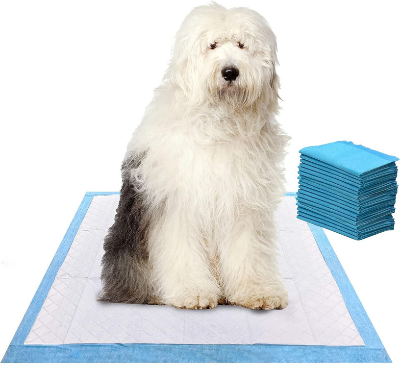 Pad d'entraînement jetable pour animaux de compagnie pour l'entraînement des chiots
