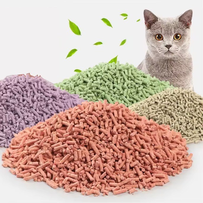 Désodorisant sable de litière de chat personnalisé sans poussière biodégradable parfumé de plusieurs couleurs